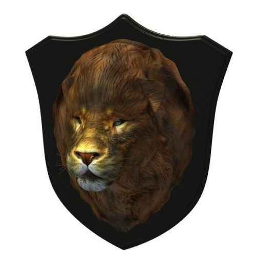 Wall Mounted Lion Head