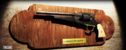 Remington 1855 Gun