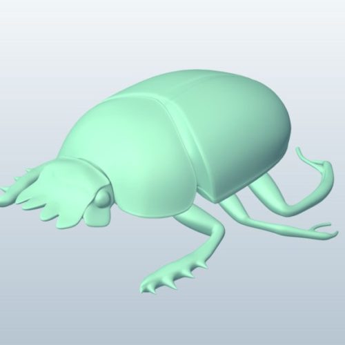 Scarab Beetle Animal