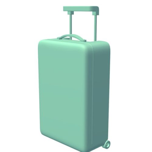 Suitcase Medium Size