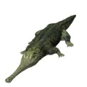 Teleosaurus Crocodile