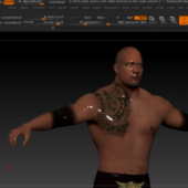 The Rock Character
