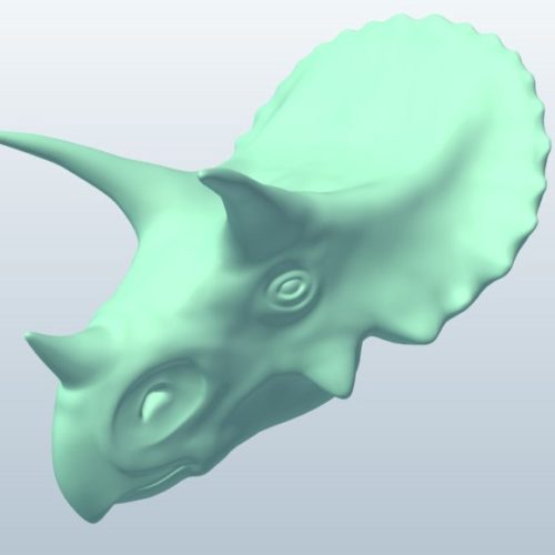 Triceratops Head