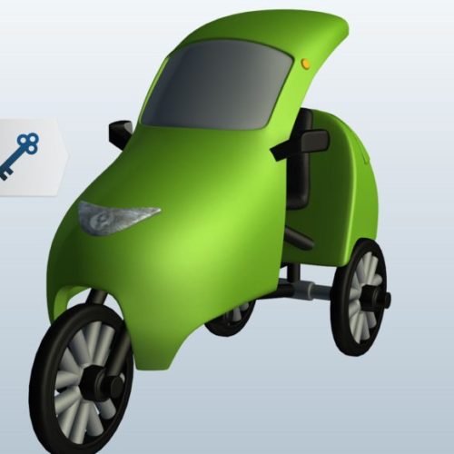 Velo-mobile Vehicle