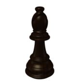 Wooden Chess Bishop Character