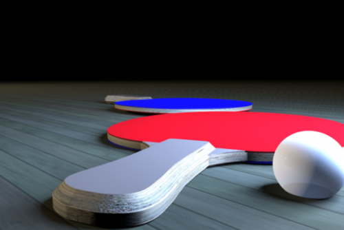 Sport Ping Pong Paddles
