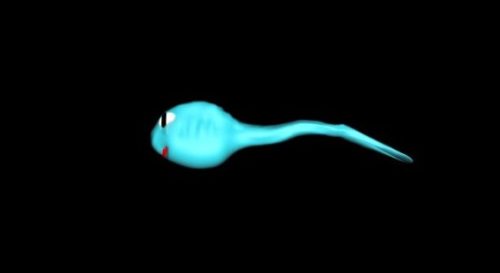 Spermatozoon Character