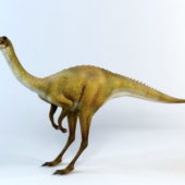 Gallimimus Dinosaur Animal