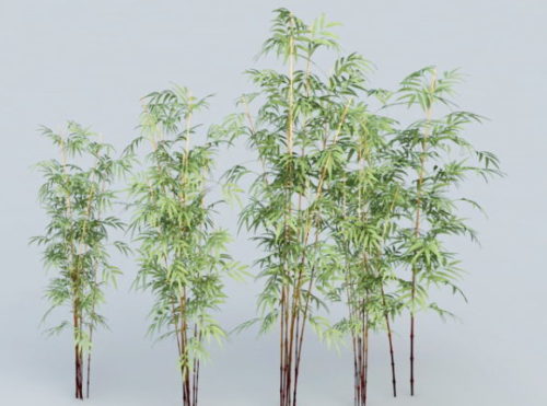 Bamboo Forest Tree 3D Model - .Max- 123Free3DModels