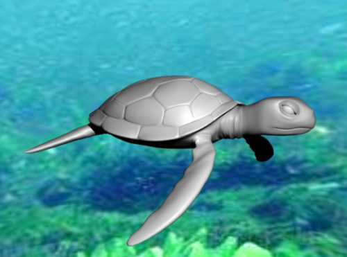 Sea Animal Turtle