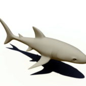 Great White Shark Animal