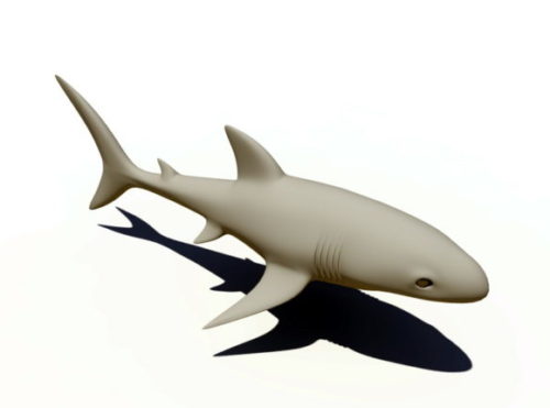 Great White Shark Animal