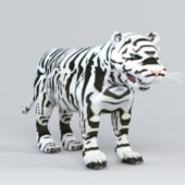 White Tiger Animal