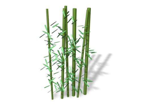 Garden Bamboo Plants