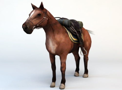 Wild Horse With Saddle Free 3D Model .Obj 123Free3DModels