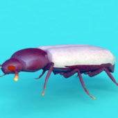 Animal Stag Beetle
