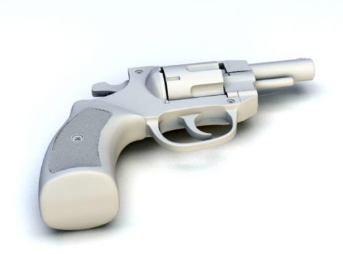 Revolver Hand Gun