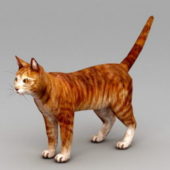 Animal Orange Cat Design
