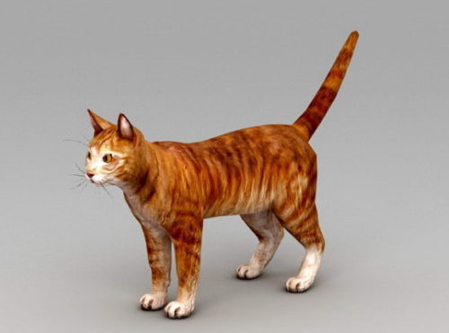 Animal Orange Cat Design