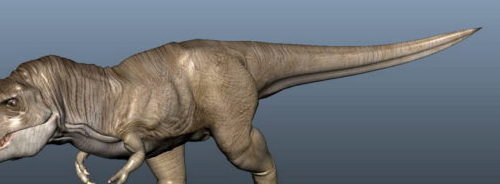 Animal Tyrannosaurus Rex