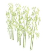 Nature Green Bamboo Plants
