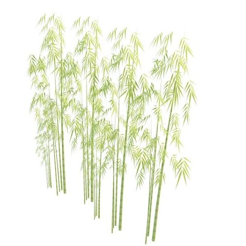 Nature Green Bamboo Plants 3D Model - .Max - 123Free3DModels