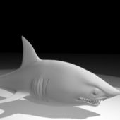 Cartoon Shark Animal Sculpt