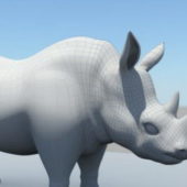 White Rhino Lowpoly Animal