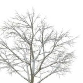 Winter Tree Style