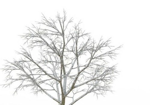 Winter Tree Style