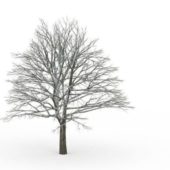 American Winter Tree V2