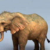 Mammoth Elephant Animal