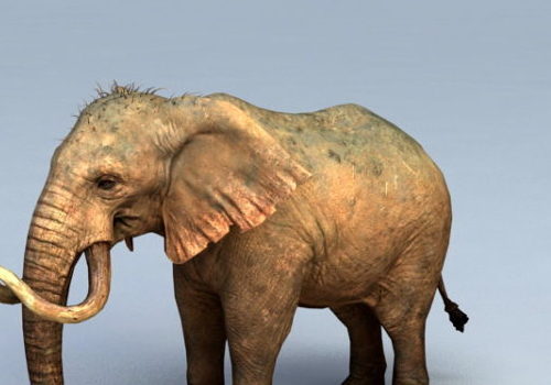 Mammoth Elephant Animal