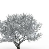 European Nature Winter Snow Tree