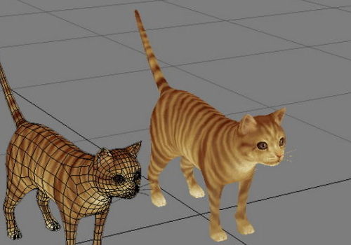 Realistic Orange Tabby Cat