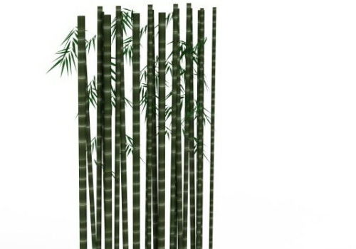 Garden Bamboo Plants V1