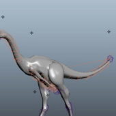 Brachiosaurus Dinosaur Animal Rigged