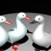Lowpoly White Ducks