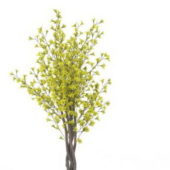 Yellow Spring Tree