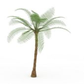 Green Tropical Palm Tree