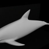 Lowpoly Baby Dolphin