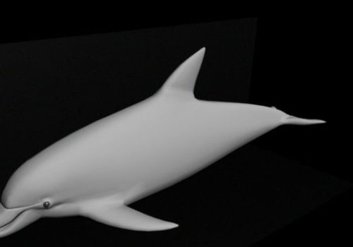 Lowpoly Baby Dolphin