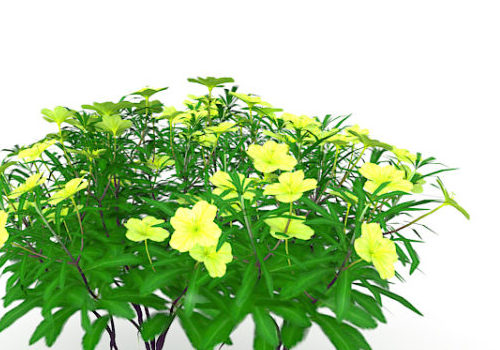 Green Yellow Flowers Plants