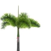 Green Tropical Palm Tree V1