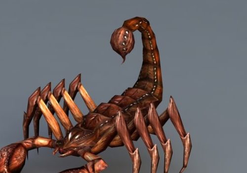 Animal Giant Scorpion