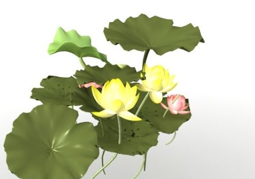 Pond Lotus Flower Leaves