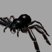 Giant Black Spider