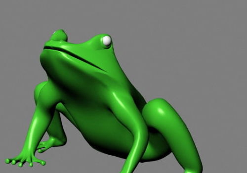 Green Frog Animal