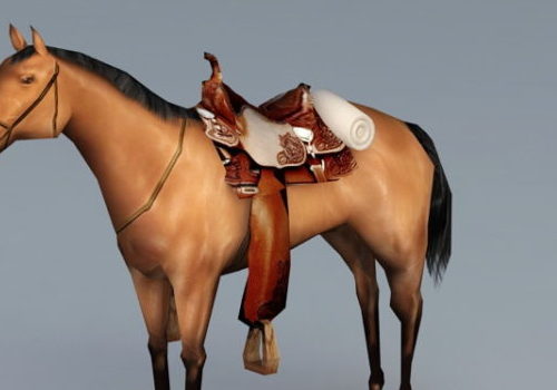 Western Horse With Saddle