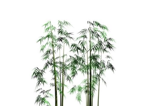 Bamboo Grove Bushes